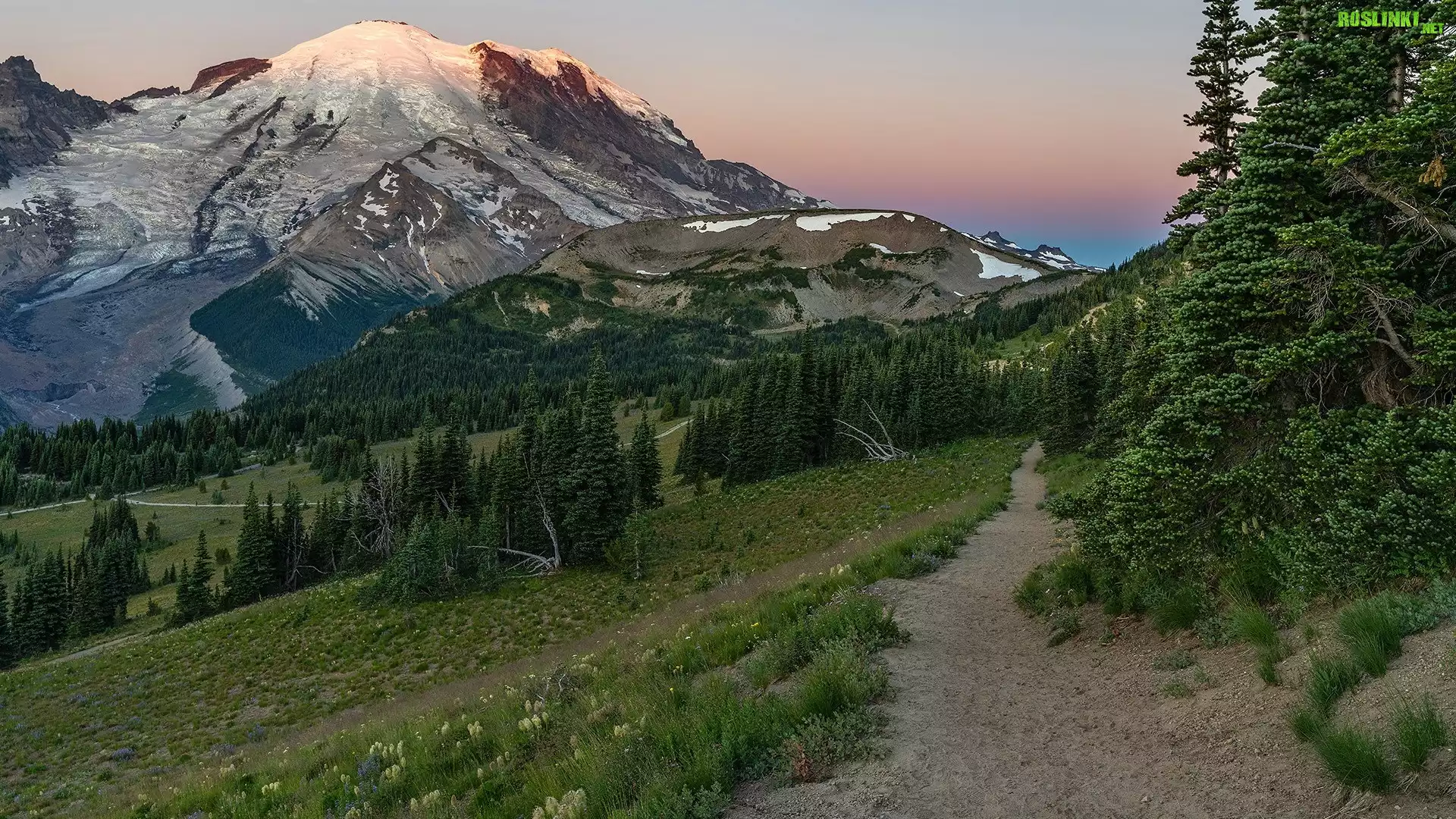 Wschód słońca, Góry, Śnieg, Droga, Drzewa, Stratowulkan, Mount Rainier, Park Narodowy Mount Rainier, Stan Waszyngton, Stany Zjednoczone
