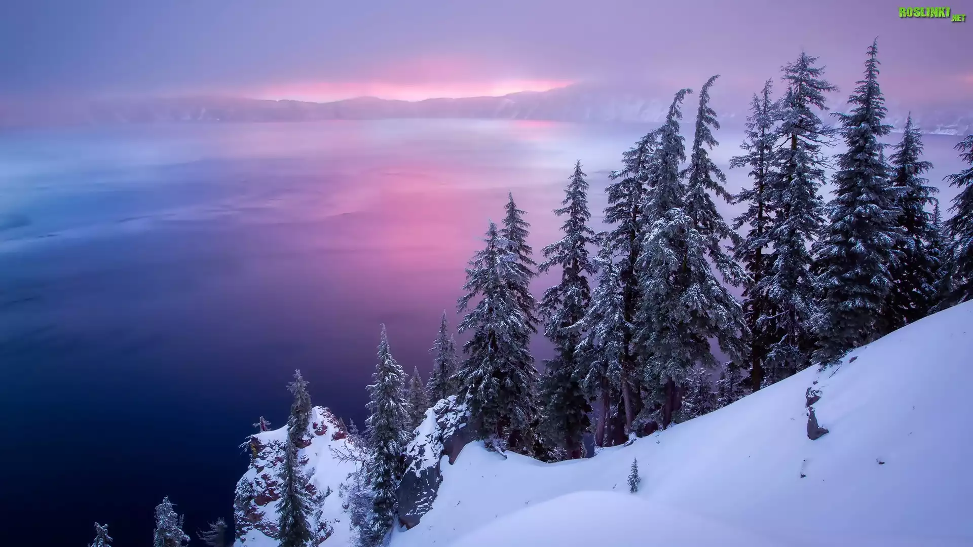 Stany Zjednoczone, Oregon, Jezioro Kraterowe, Zima, Åšwierki